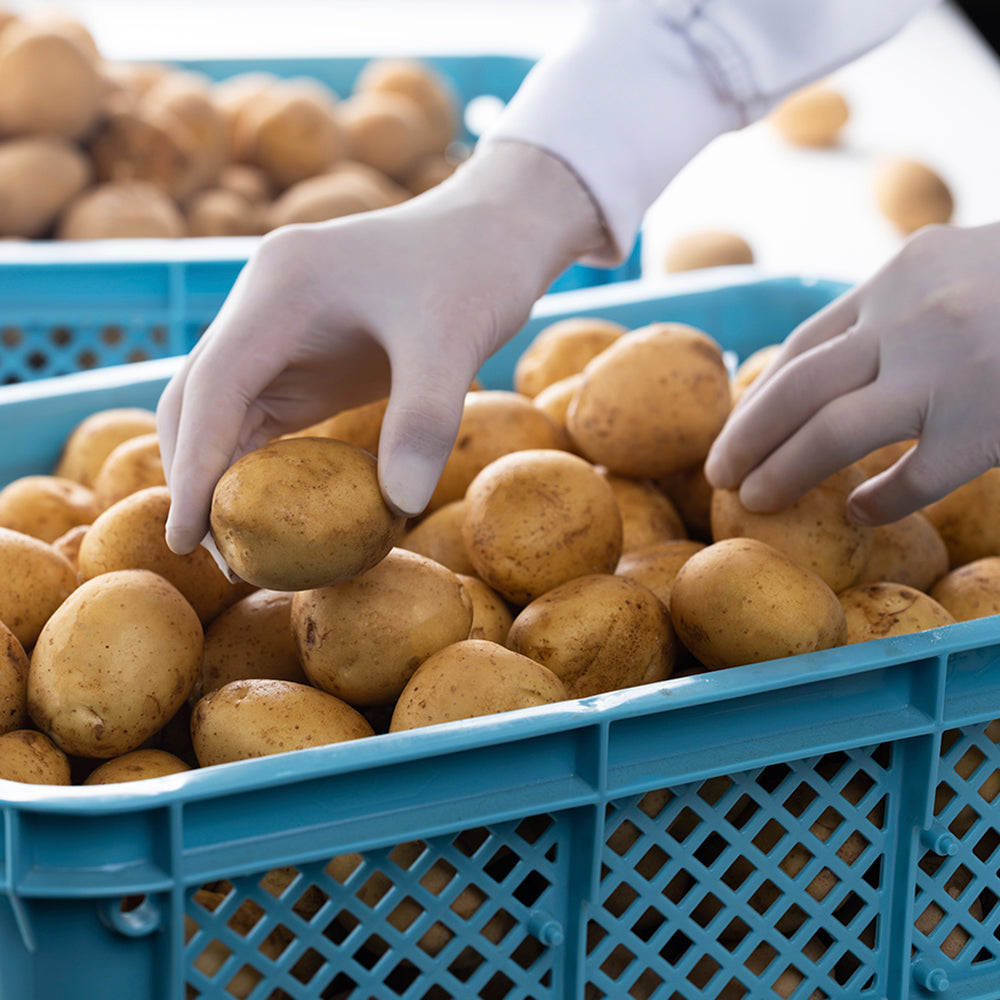 カネコロ カネ吉山本コロッケ 生冷凍5コ入り(冷凍限定商品)