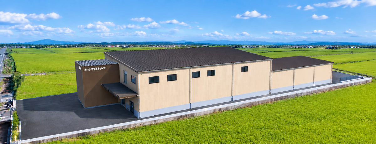 【8日間限定】小船木工場 稼働オープン記念