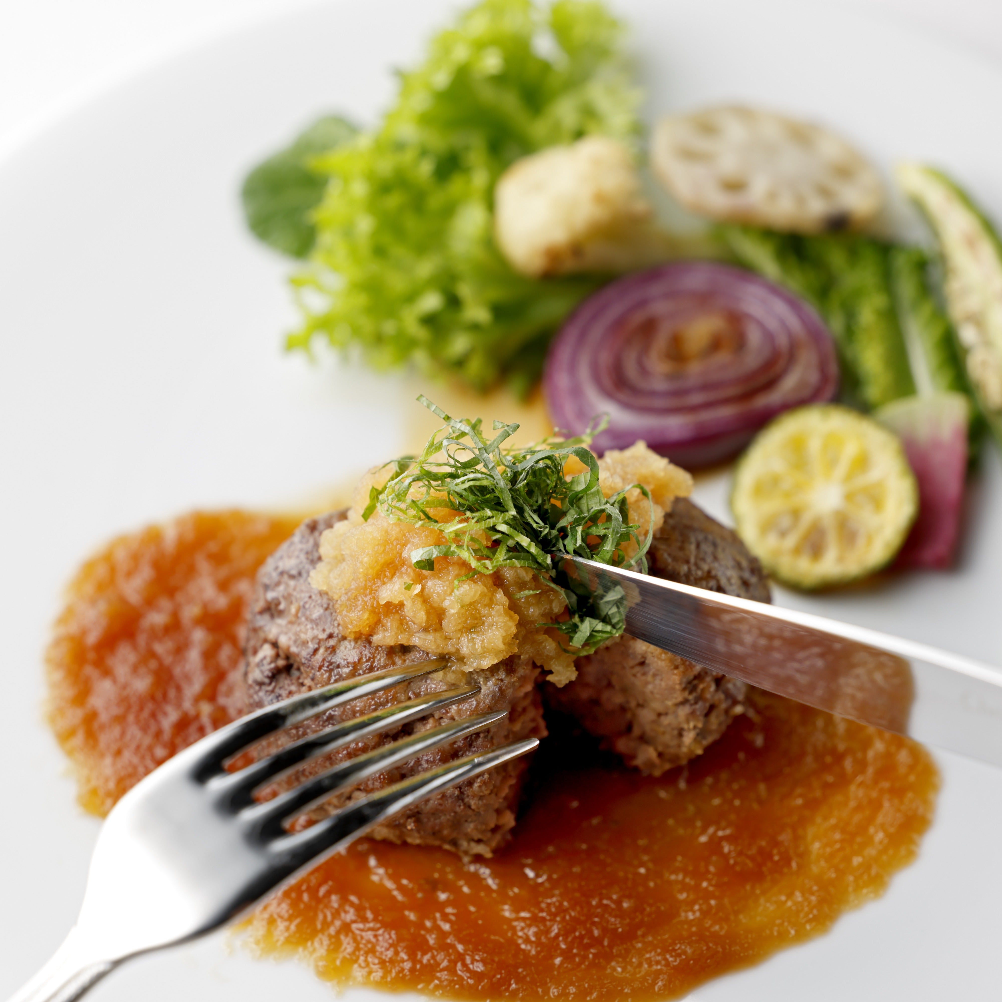 かねきち山本。レンチン | 近江牛おろしハンバーグ <冷凍限定商品>